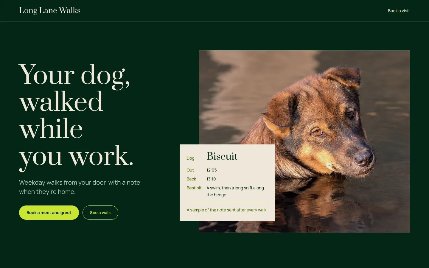 Long Lane Walks: a wet dog in a stream beside the headline Your dog, walked while you work.